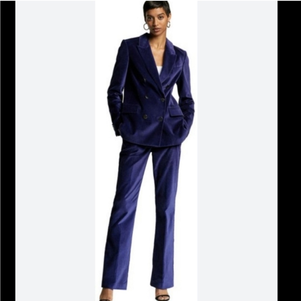 Babaton velvet pant suit (jacket and pants)
